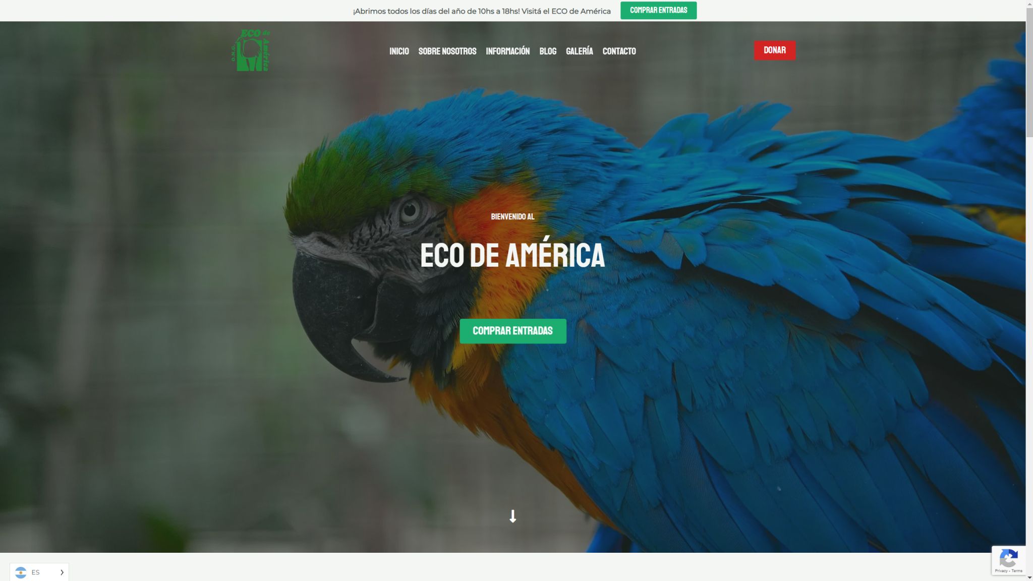Credoffice360